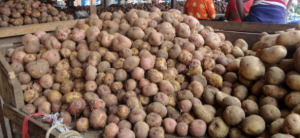Fresh Kinigi Irish potatoes from Rwanda from Rwanda